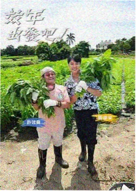 城市味觉 美食综艺在线看